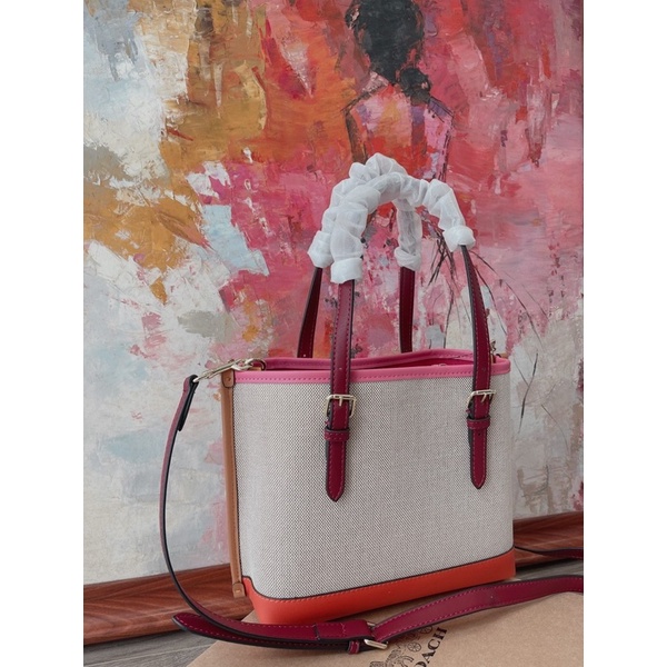 Túi xách nữ Coach Mollie Tote color size 25