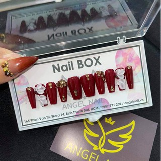 móng úp Nail box thiết kế