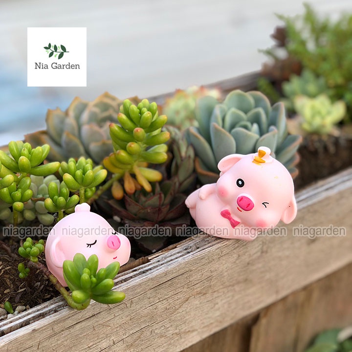 Tiểu cảnh trang trí chậu cây mô hình heo mini decor vườn terarium hồ cá bàn học Nia Garden N5