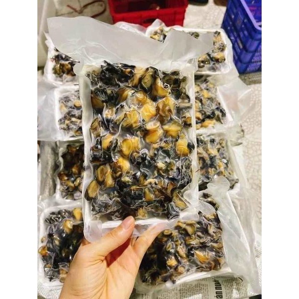 RUỘT ỐC BƯƠU