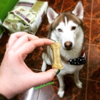 XƯƠNG GẶM DA BÒ THẬT CHO CHÓ