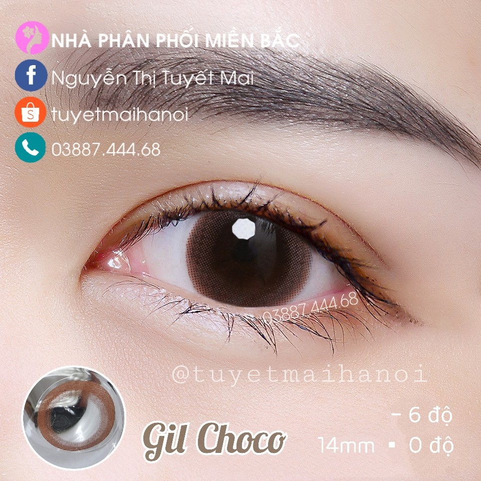 Lens Gil Choco 14mm Cận Từ 0 Đến 6 Độ - Kính Áp Tròng Vassen Hàn Quốc