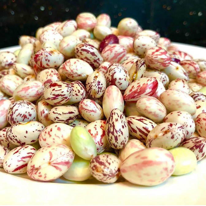 [Hạt giống Đài Loan] Gói 10 hạt giống đậu trứng rồng Đài Loan - tỷ lệ nảy mầm 95%
