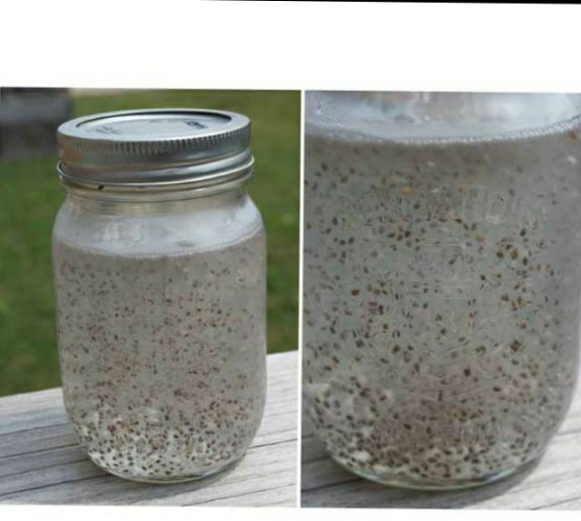 CHIA TÍM ABSOLUTE ORGANIC ÚC