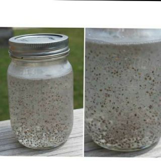 { 1KG } HẠT CHIA TÍM ABSOLUTE ORGANIC ÚC