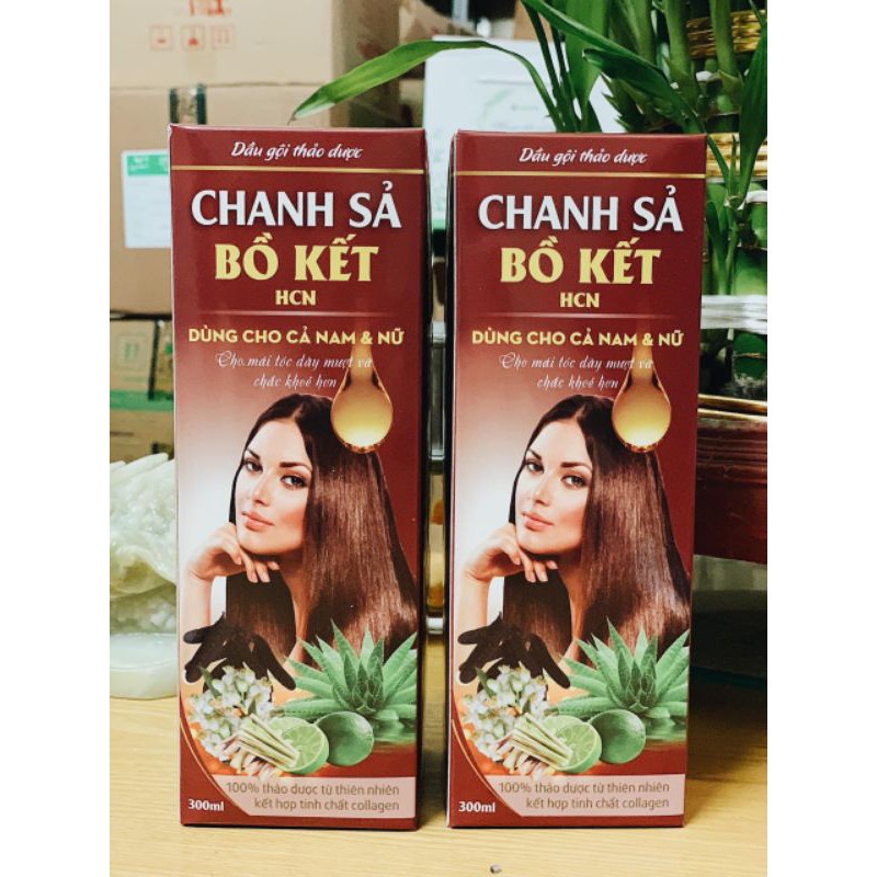 Dầu Gội Thảo Dược Chanh Sả Bồ Kết Siêu Mềm Mượt 300ml DT002