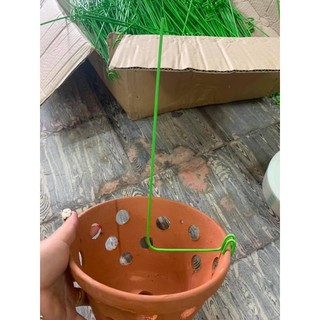 Que Nẹp Chậu Giữ Lan, Kẹp chậu (Dài 28-30cm )