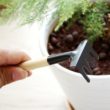 Đồ dùng làm vườn - Bộ dụng cụ trồng cây cảnh, sen đá, xương rồng, bonsai, tiểu cảnh ba món