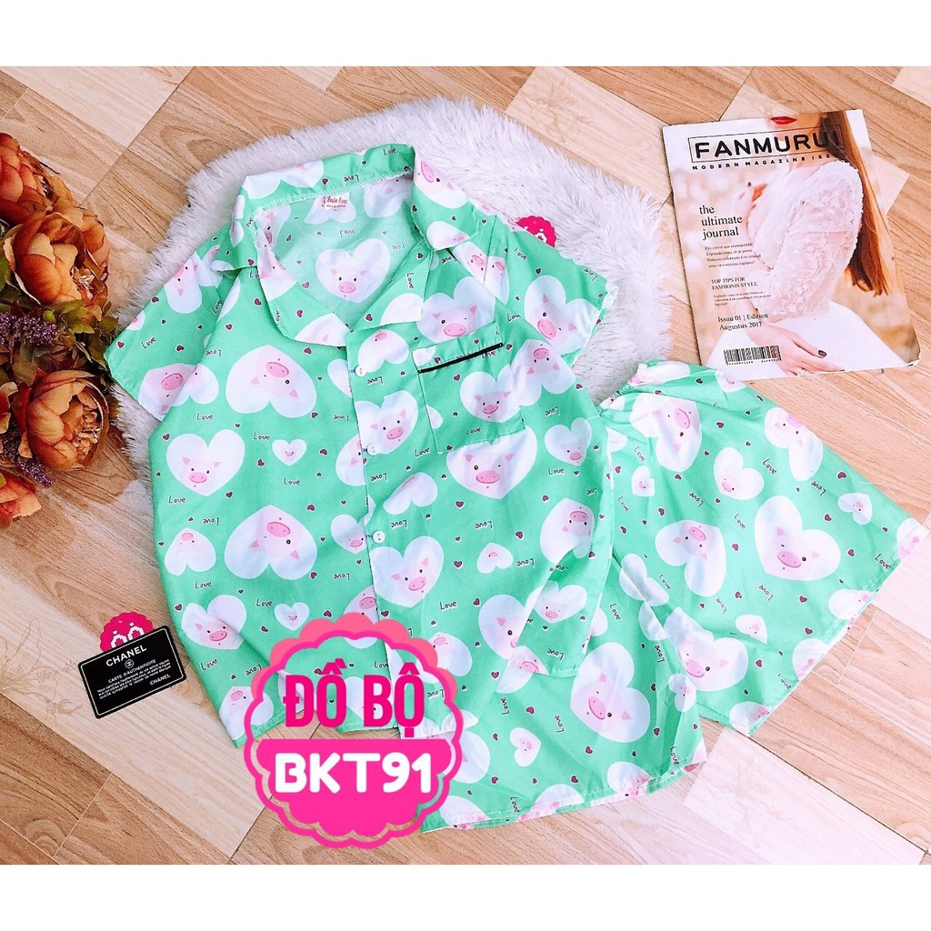Đồ Bộ PIJAMA CON HEO Đi Biển Mặc Nhà Mặc Ngủ Dưới 55kg ! FREE SHIP | BigBuy360 - bigbuy360.vn