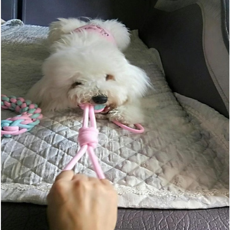 ĐỒ CHƠI CHO CHÓ, DÂY THỪNG GẶM SẠCH RĂNG CHO CHÓ - LOVE PETS SHOP