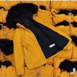 Parka zara