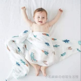 Hộp 2 khăn aden anais thổ nhĩ kỳ