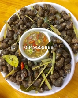 Đĩa xoắn hình hoa