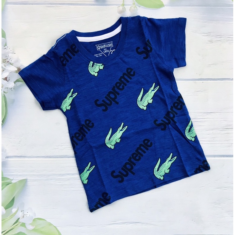 🦖 Áo cotton bé trai 5-21kg