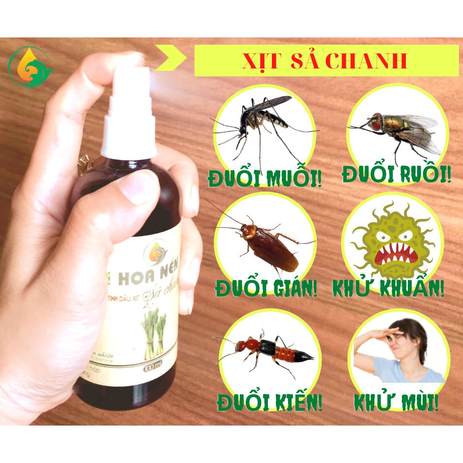 Xịt đuổi muỗi đuổi côn trùng hương Sả Chanh, Sả Java dễ chịu xua côn trùng khử khuẩn nấm mốc 50ml/100m TIỆM TẠP HOÁ