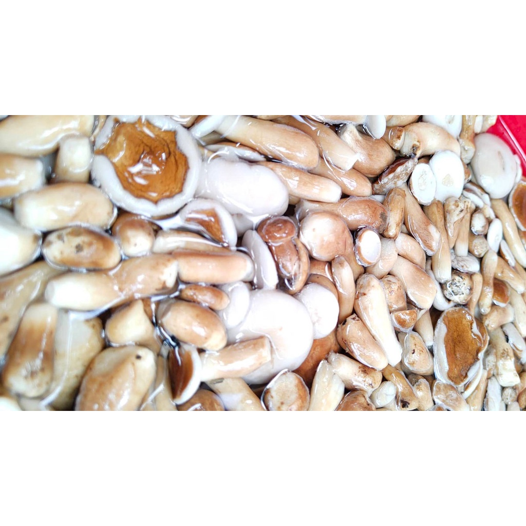 Nấm Tràm Thiên Nhiên 500gr