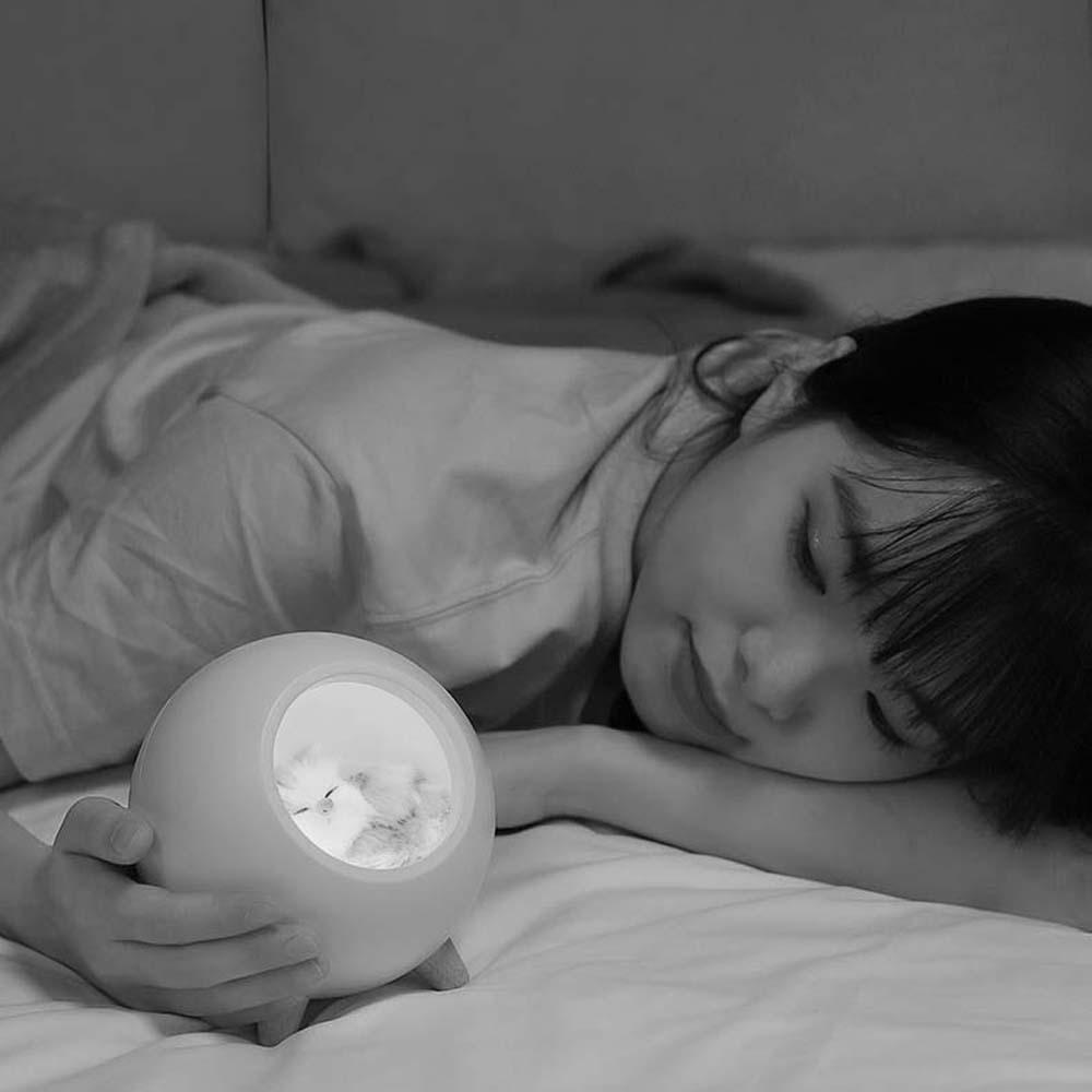 Loa Bluetooth Không Dây AUGUSTINA Âm Thanh Siêu Trầm Có Đèn LED Ban Đêm