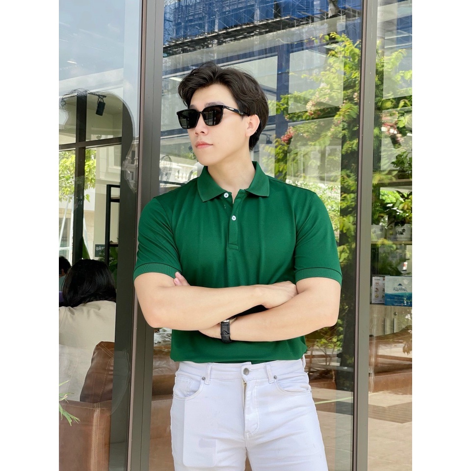 Áo polo nam trơn  cổ bẻ 5 màu vải cá sấu Cotton xuất xịn,chuẩn form, sang trọng - thanh lịch TB010