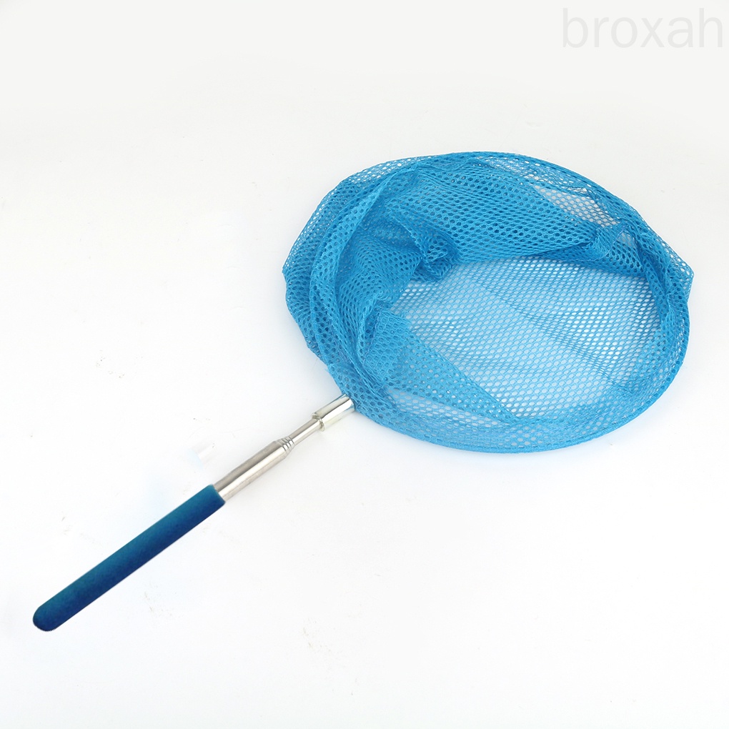 Vợt lưới bắt bướm/ côn trùng cho trẻ em