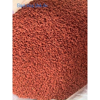 Hạt điều màu VN, hàng đẹp đã sàng sạch ko lẫn tạp chất