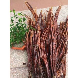 Nấm linh chi sừng hươu sa pa gói 1kg