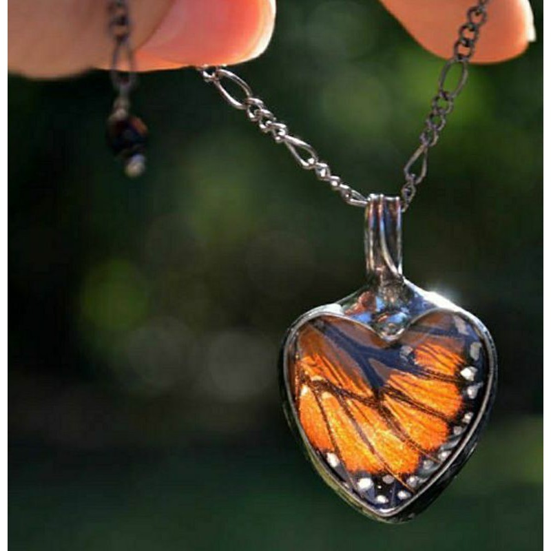 Real Butterfly Wings sử dụng trong Resin Handmade [ Vui lòng đọc kỹ mô tả sản phẩm trước khi mua hàng]
