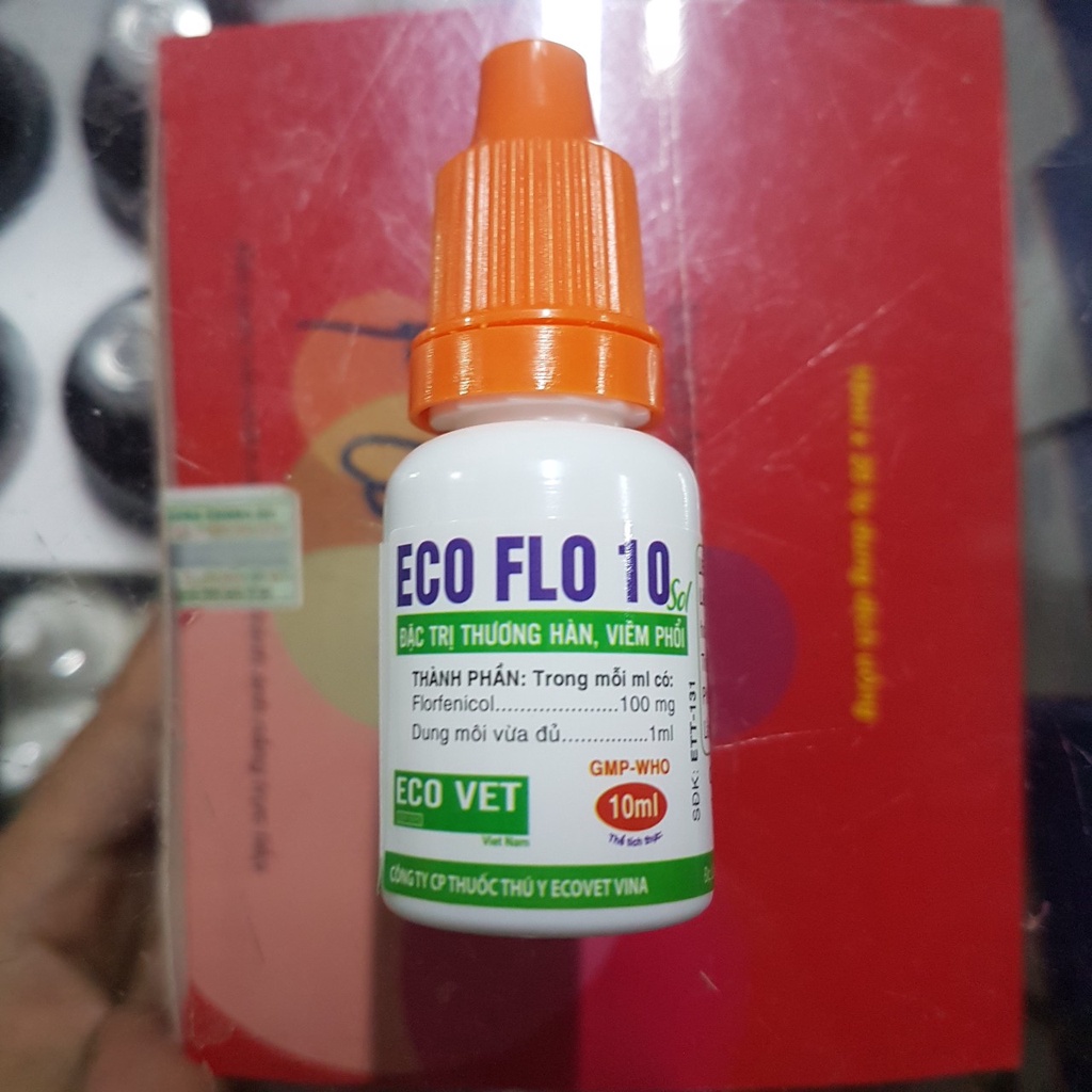 Eco Flo 10 sol - ĐT Thương hàn - Bệnh phổi - Chỉ dùng cho Thú Y
