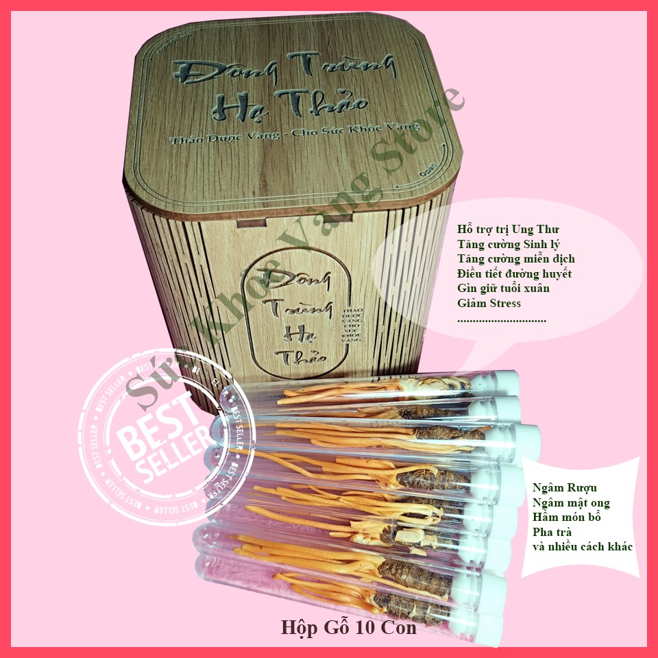 Đông trùng hạ thảo Nhộng Tằm Sấy thăng hoa nguyên con - Hộp 10 con