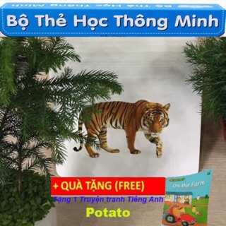 Combo bộ thẻ học loại 1 thẻ học thông minh cho bé loại to 14 chủ đề 280 thẻ song ngữ ( kèm bộ chữ số tô màu )