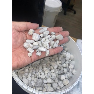 Vật liệu lọc cao cấp cho hồ thủy sinh, vật liệu lọc bể cá cảnh Seachem Matrix 1L VLLMATRIX1L