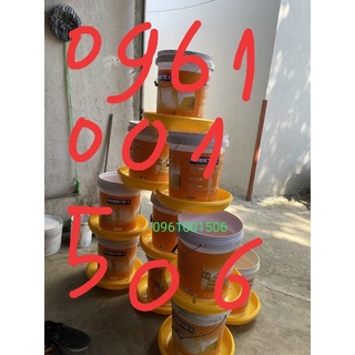 Máng ăn xô sơn cho gà vịt