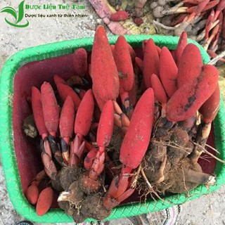 0.5kg nấm ngọc cẩu khô nguyên búp