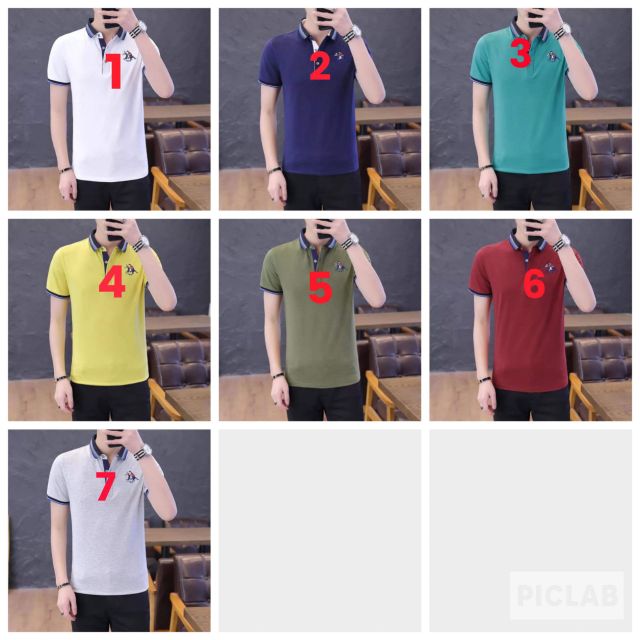Áo polo nam 7 mẫu quảng châu nữ