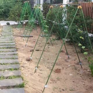 Lưới giàn leo 2mx7m