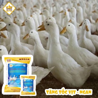 Siêu Tăng Tốc Vịt, Ngan (hàng chuẩn)