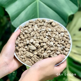 Đá Pumice [NHẬP INDO] rất tốt cho kiểng lá, sen đá, xương rồng, size hạt lớn 5-8mm