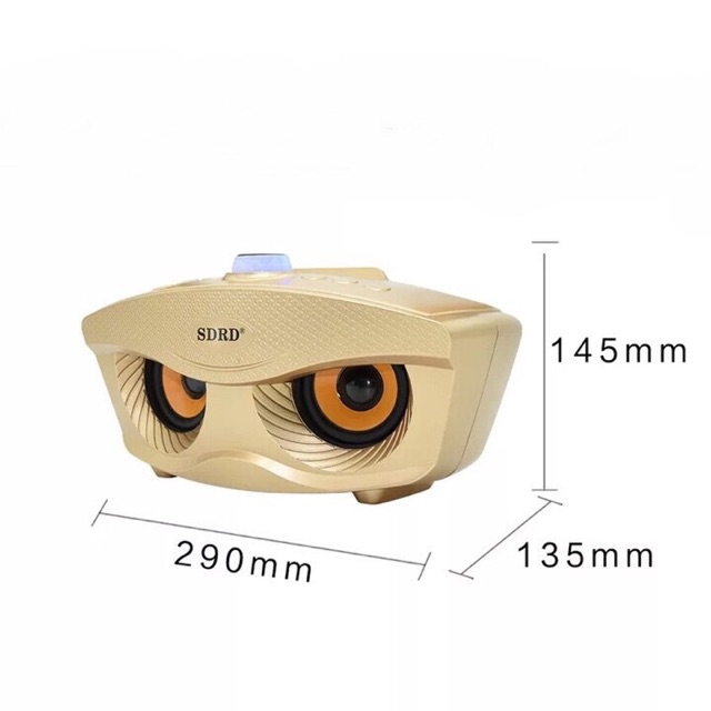Loa karaoke bluetooth Sd306 tặng 2 mic không dây