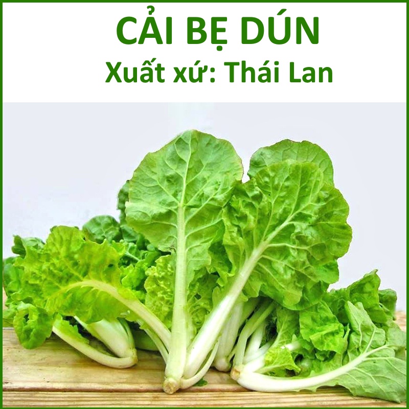 Hạt Giống Cải Bẹ Dún Thái Lan (20g)