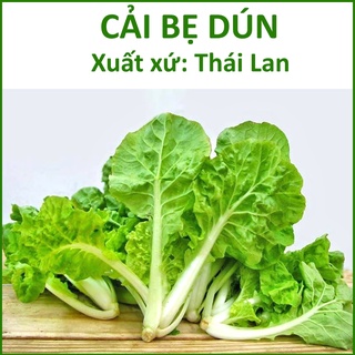 Hạt giống cải bẹ dún thái lan