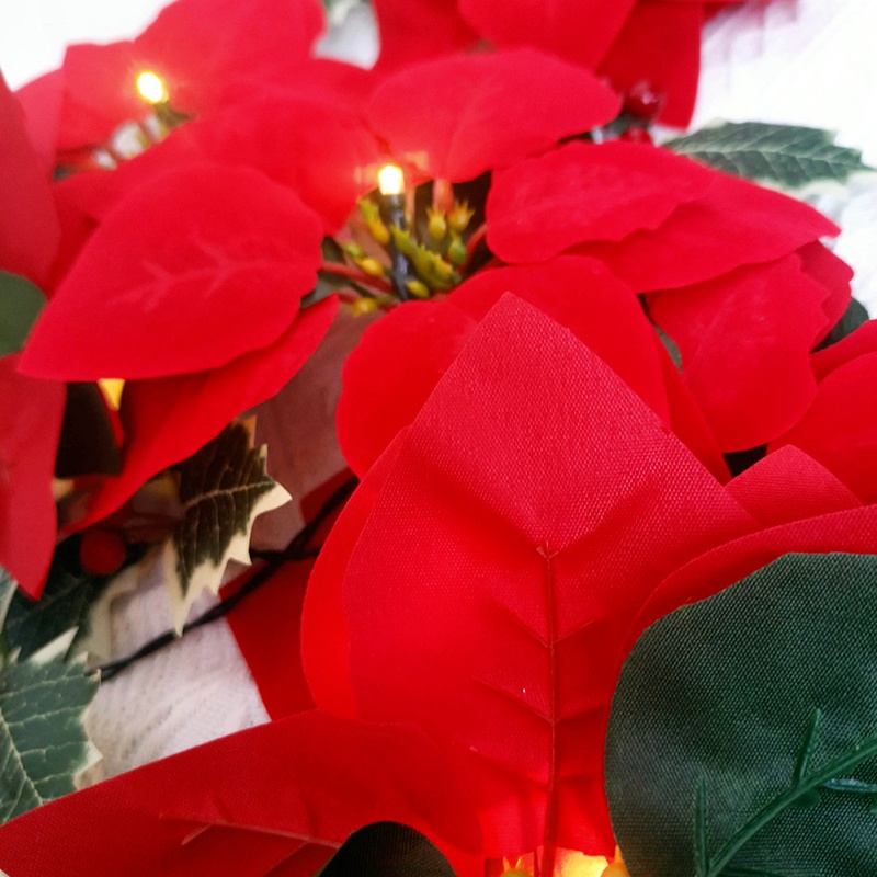 Dây Đèn Led 2m 10 Bóng Hình Hoa Poinsettia Độc Đáo Trang Trí Giáng Sinh