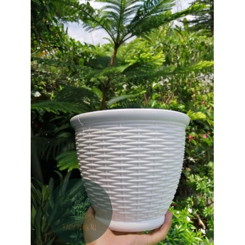 Chậu nhựa mây đan vành