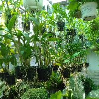 Đất dinh dưỡng cao cấp - Thể tích: 5dm3
