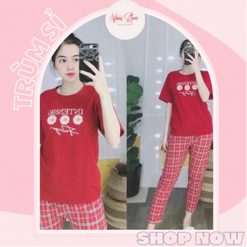 Đồ bộ nữ đồ bộ thun cotton mặc nhà đồ bộ bigsize đồ bộ nữ đẹp