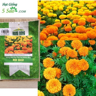 VẠN THỌ CAO NHIỀU MÀU 842 (0,1gr ) RẠNG ĐÔNG