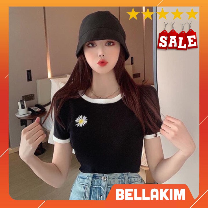 Áo thun borip viền màu thêu hoa HÀNG Y HÌNH 100%