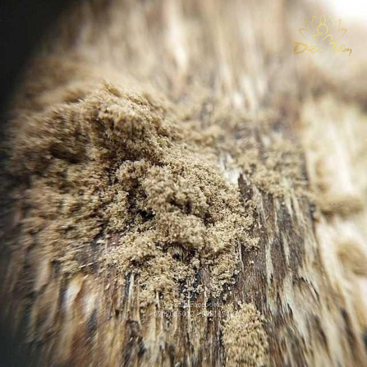 Trầm hương bột tự nhiên Quảng Nam 100g