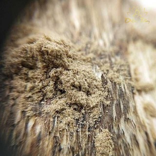 Trầm Hương Cao Cấp Bột 100g
