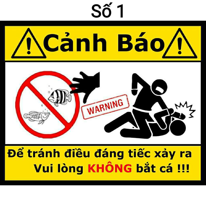 [Mã PET50K giảm Giảm 10% - Tối đa 50K đơn từ 250K] Sticker cảnh báo cấm nghịch cá | tem dán cảnh báo bể cá