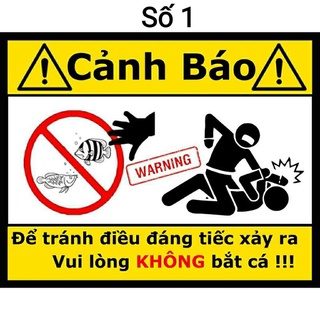 Sticker dán bể cá cảnh | Cảnh báo cấm sờ hồ cá