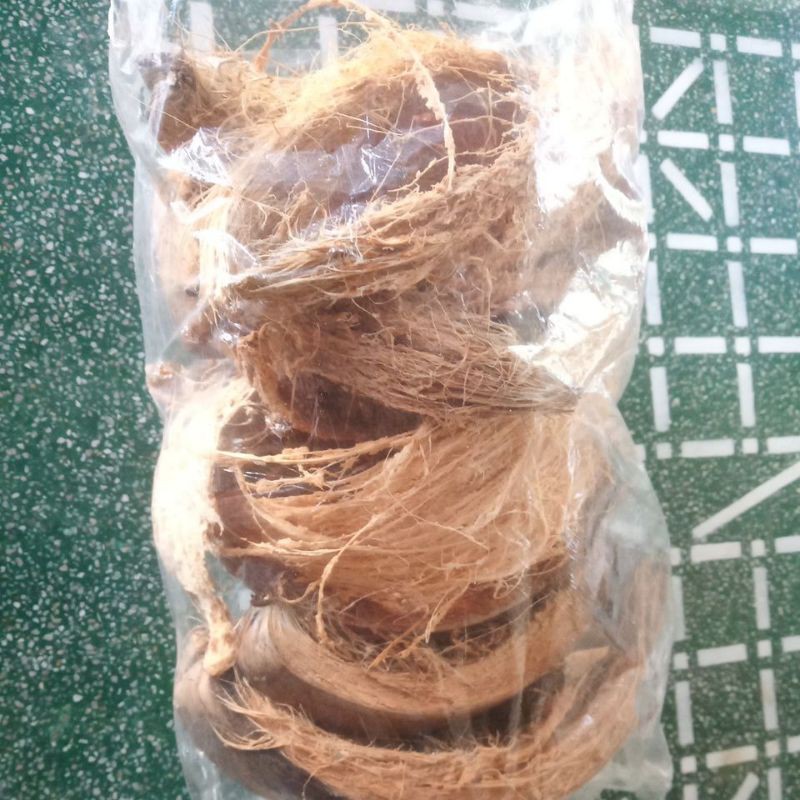 Sơ dừa miếng trồng lan/ lót châu